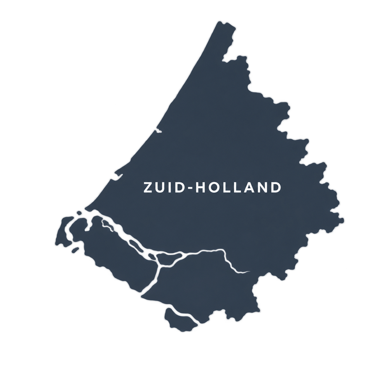 dakspecialist zuid holland